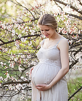 Pregnancy Prenatal Massage Charleston